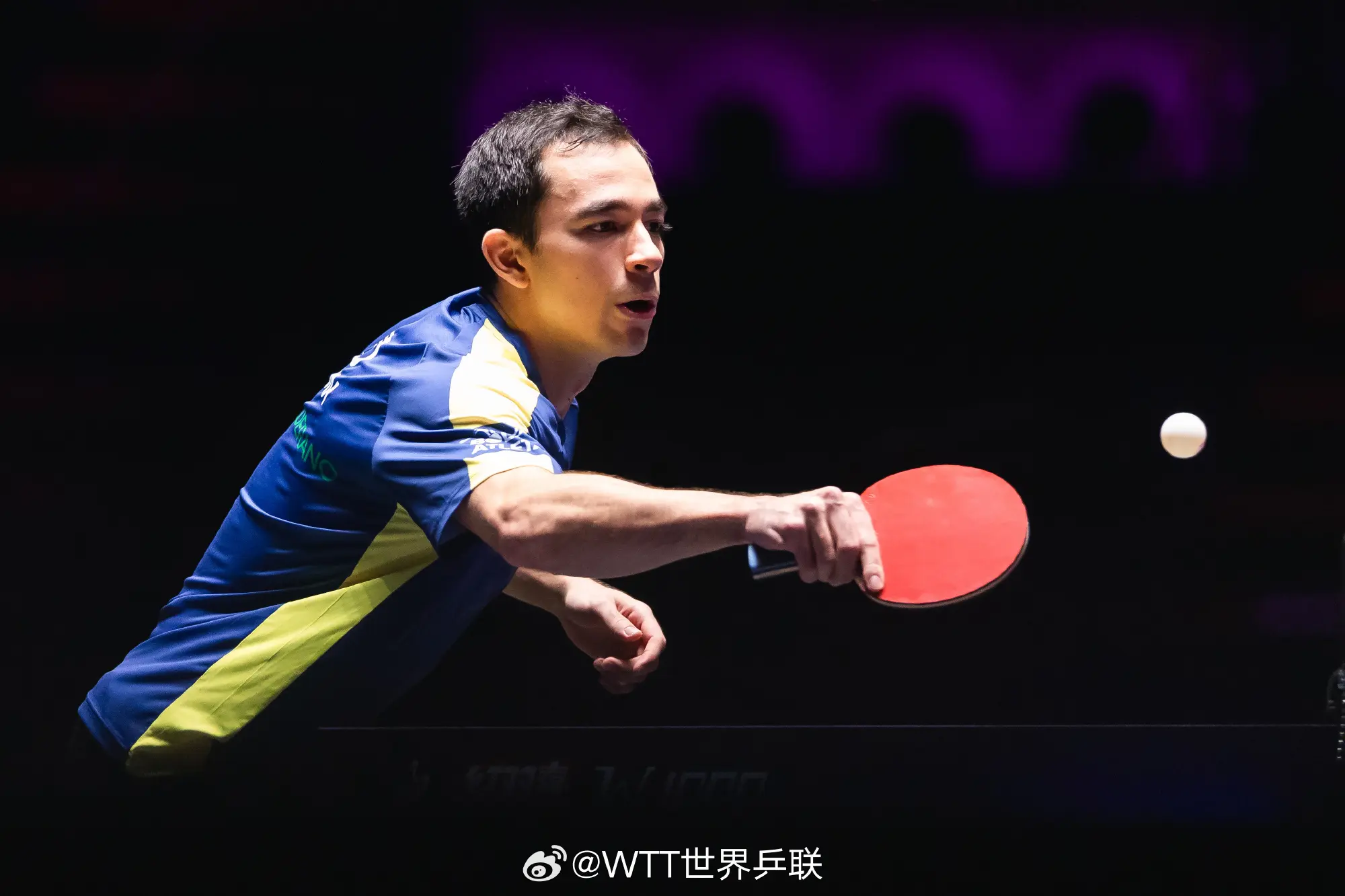 在澳门冠军, MwaWb, 战胜巴西的