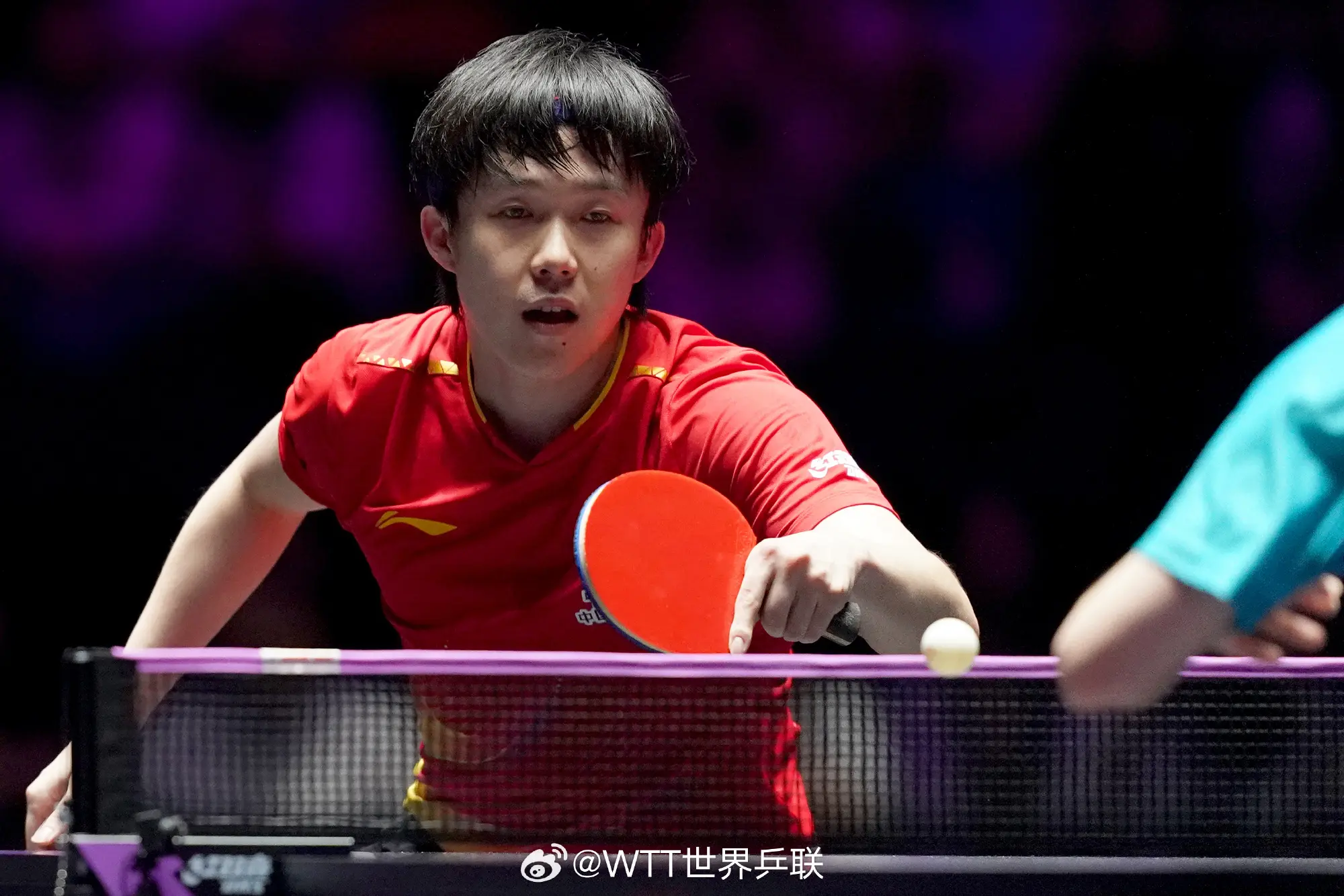 两人再次交, 回男单世界, 雨果