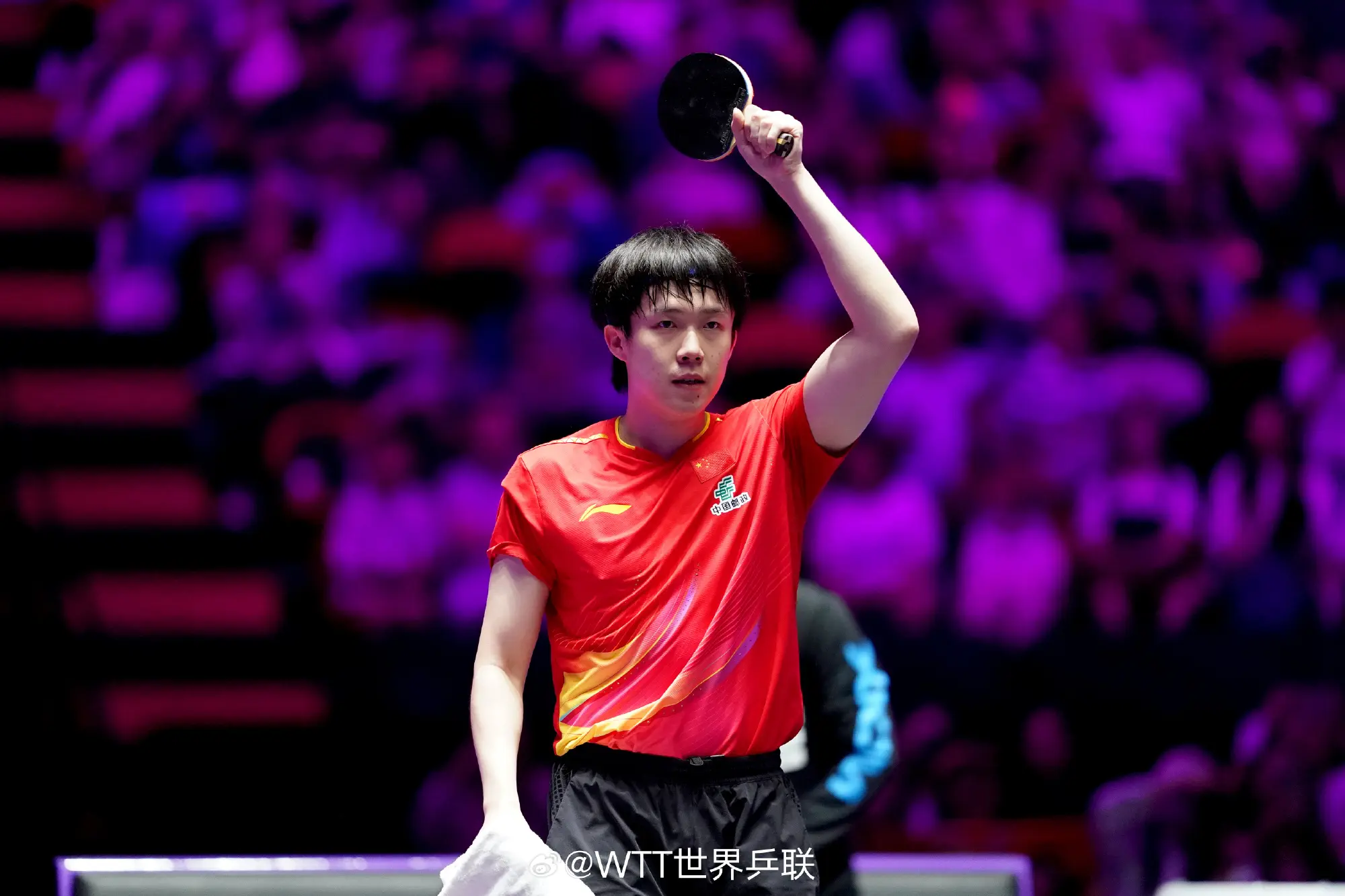 entit, entit, 王楚钦