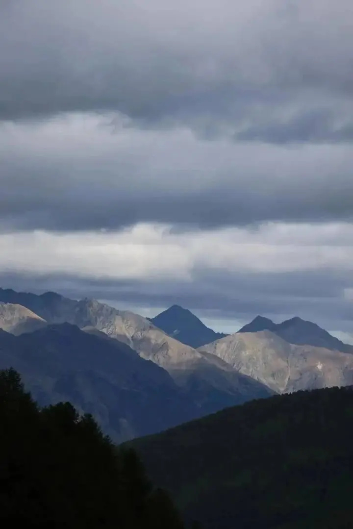 src, 野跑的领军, 计时器定格